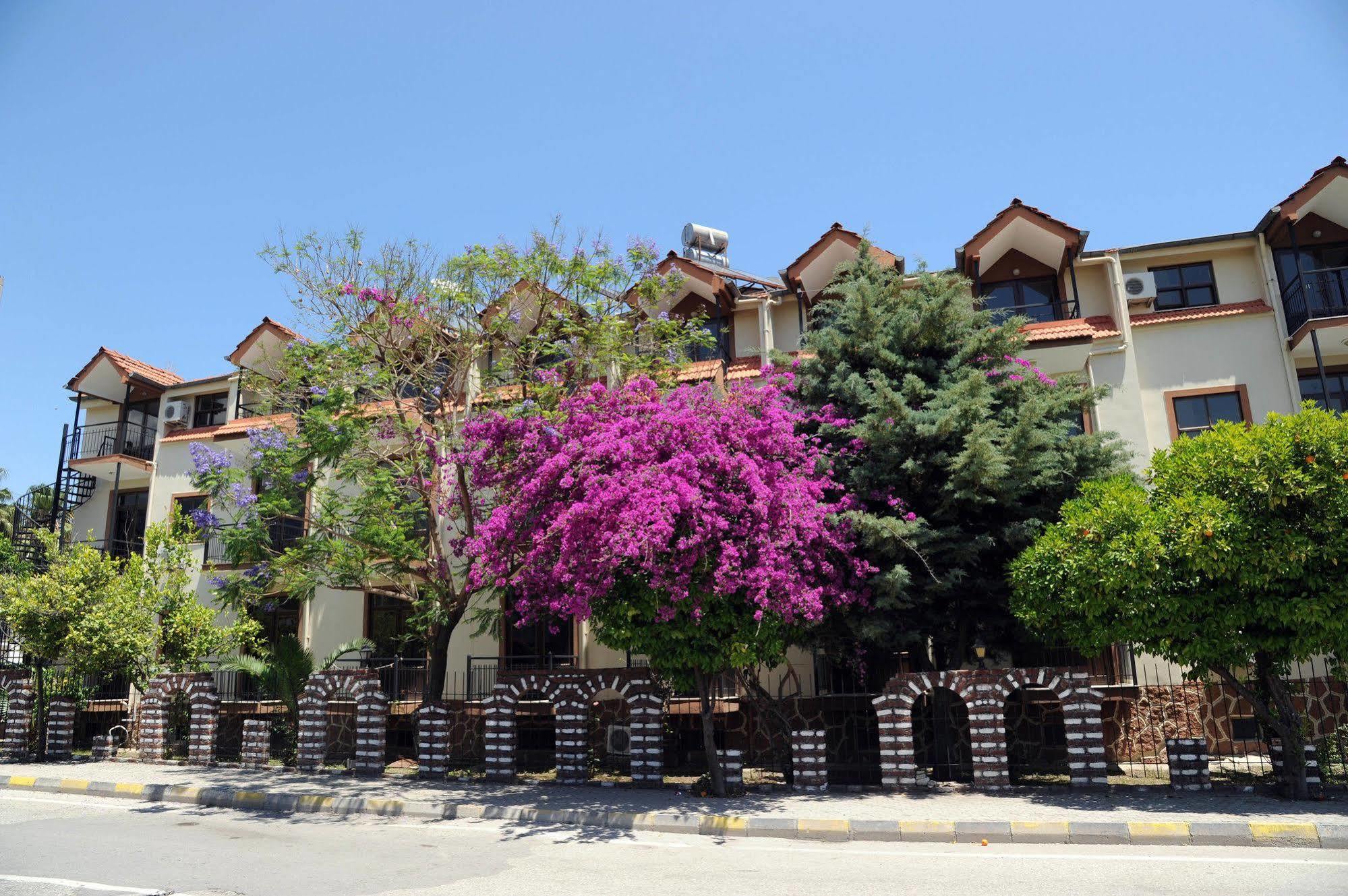 Ilimyra Hotel Чамьюва Экстерьер фото